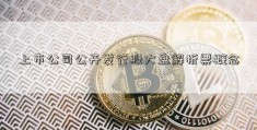 上市公司公开发行股大盘解析票概念