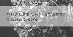 金融资讯是什么平台(山东领信信息科技股份有限公司)