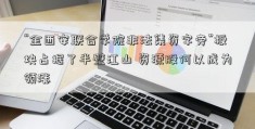 “金西安联合学院非法集资字旁”板块占据了半壁江山 资源股何以成为领涨