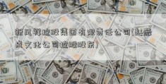 新凤祥控股集团有限责任公司(赵薇成文化公司控股股东)