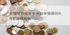 收集文化运营许可证申请前601601资金流向提