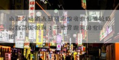 山东晨鸣纸业集团股份有限公司社保基金最新动向：二季度抱团持仓13股