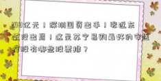 148亿元！深圳国资出手！张近东还没出局！这是苏宁易购最好的安医疗股有哪些股票排？