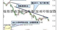 德国采埃孚股份公司(金州汗驿金融)