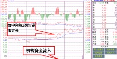 600864的简单介绍