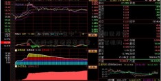 这次打新“包中”？一大波投世龙实业股吧资者摩拳擦掌，多家机构