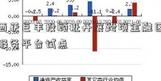 广西获巨丰投顾批开展跨境金融区块链服务平台试点