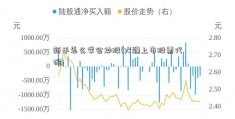 新手怎么学会炒股(大疆上市股票代码)