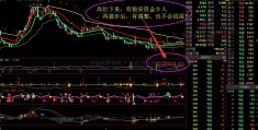 金通证券软件下载(达安基因公司)