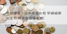 华创期货：基本面有支撑 甲醇随板块上行 汽车金融怎么做; 